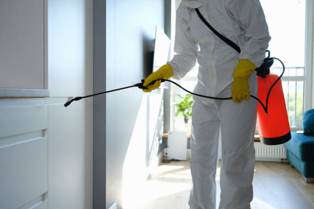 Best Mold Odor Removal Services  in Bloomer, WI